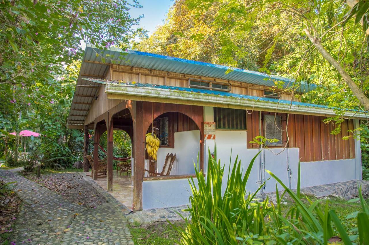 Cabinas Iguana Cahuita Exterior foto